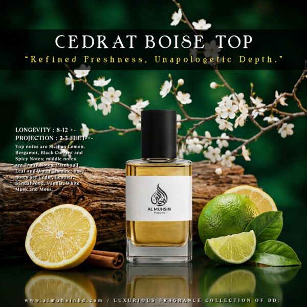 𝗖𝗲𝗱𝗿𝗮𝘁 𝗕𝗼𝗶𝘀𝗲 𝗧𝗼𝗽 - Image 1